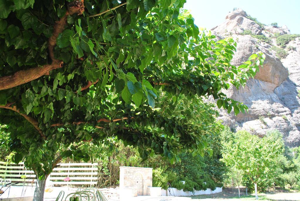 Guesthouse Eleftherios Калаврита Екстер'єр фото