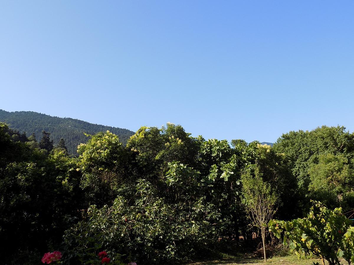 Guesthouse Eleftherios Калаврита Екстер'єр фото