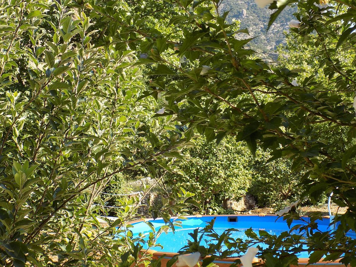 Guesthouse Eleftherios Калаврита Екстер'єр фото